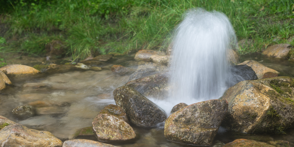 Lectio the Liturgy: Sunday, October 1, 2023
